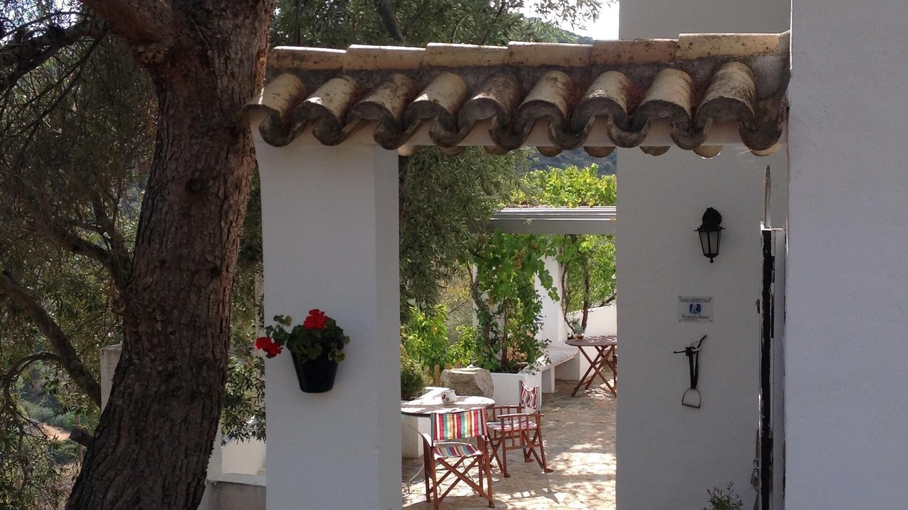 Photo of Others in Algarinejo
