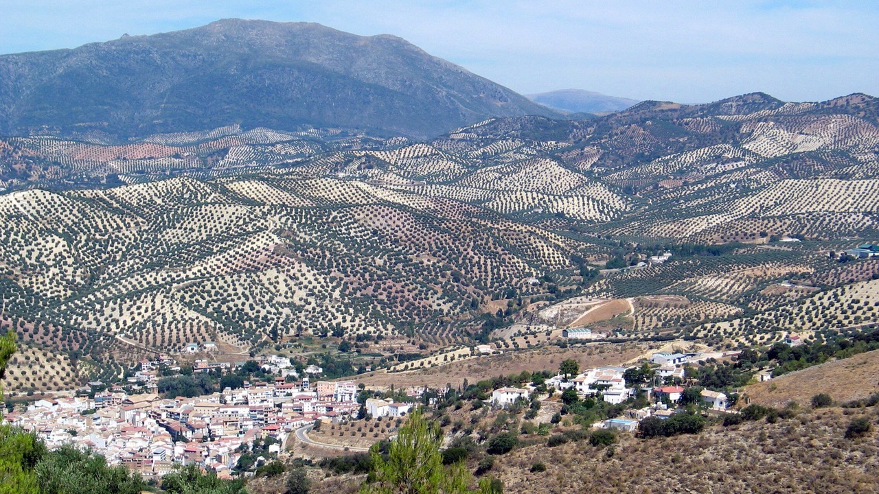Photo of Others in Algarinejo