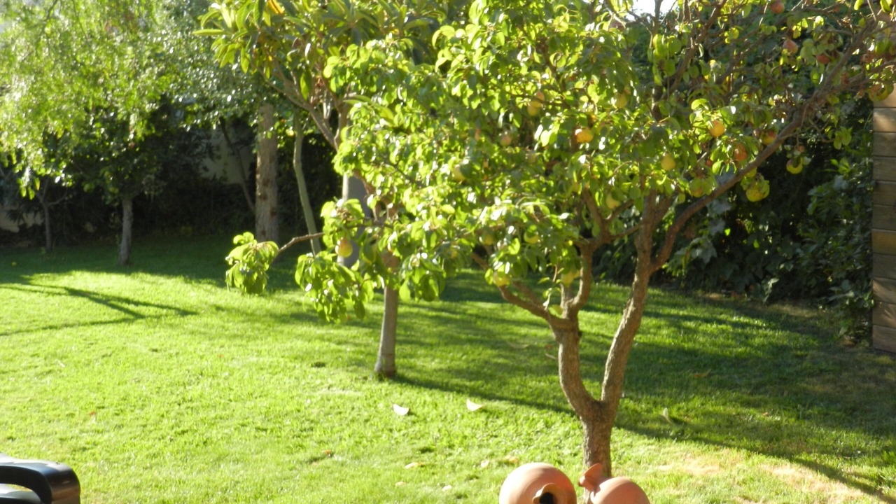Photo of Outdoor in Padul
