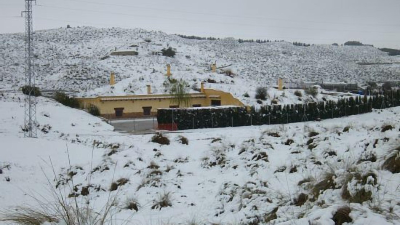 Photo of Others in Cullar