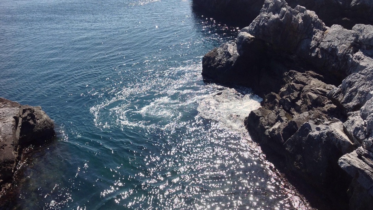 Photo of Others in La Herradura