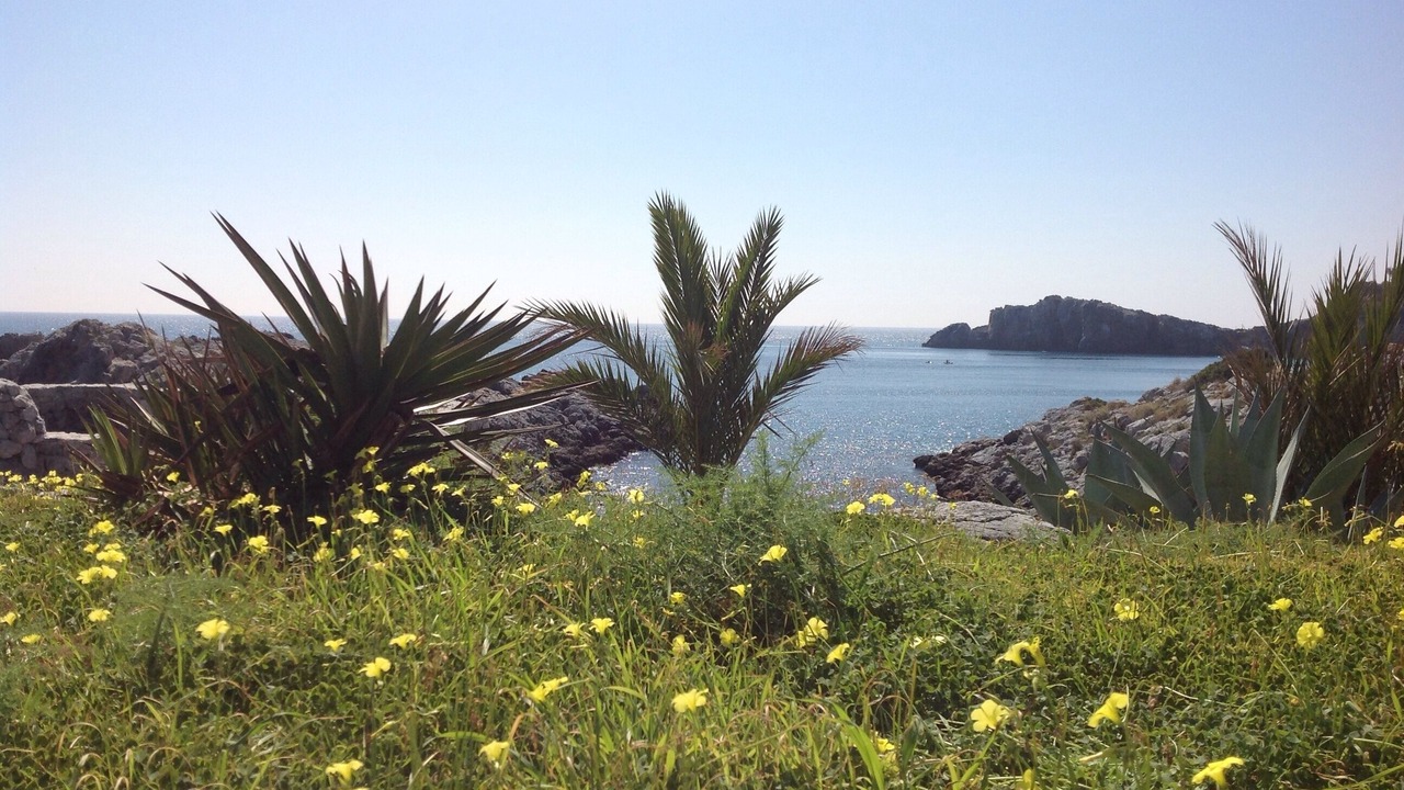 Photo of Outdoor in La Herradura