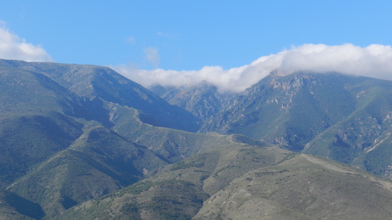 Photo of Others in Orgiva