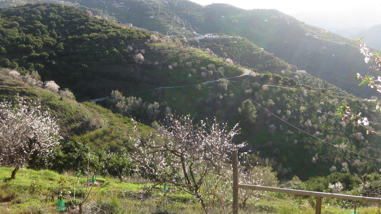 Photo of Outdoor in Jete