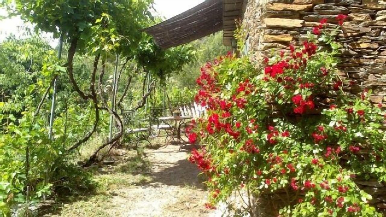 Photo of Outdoor in Laroles