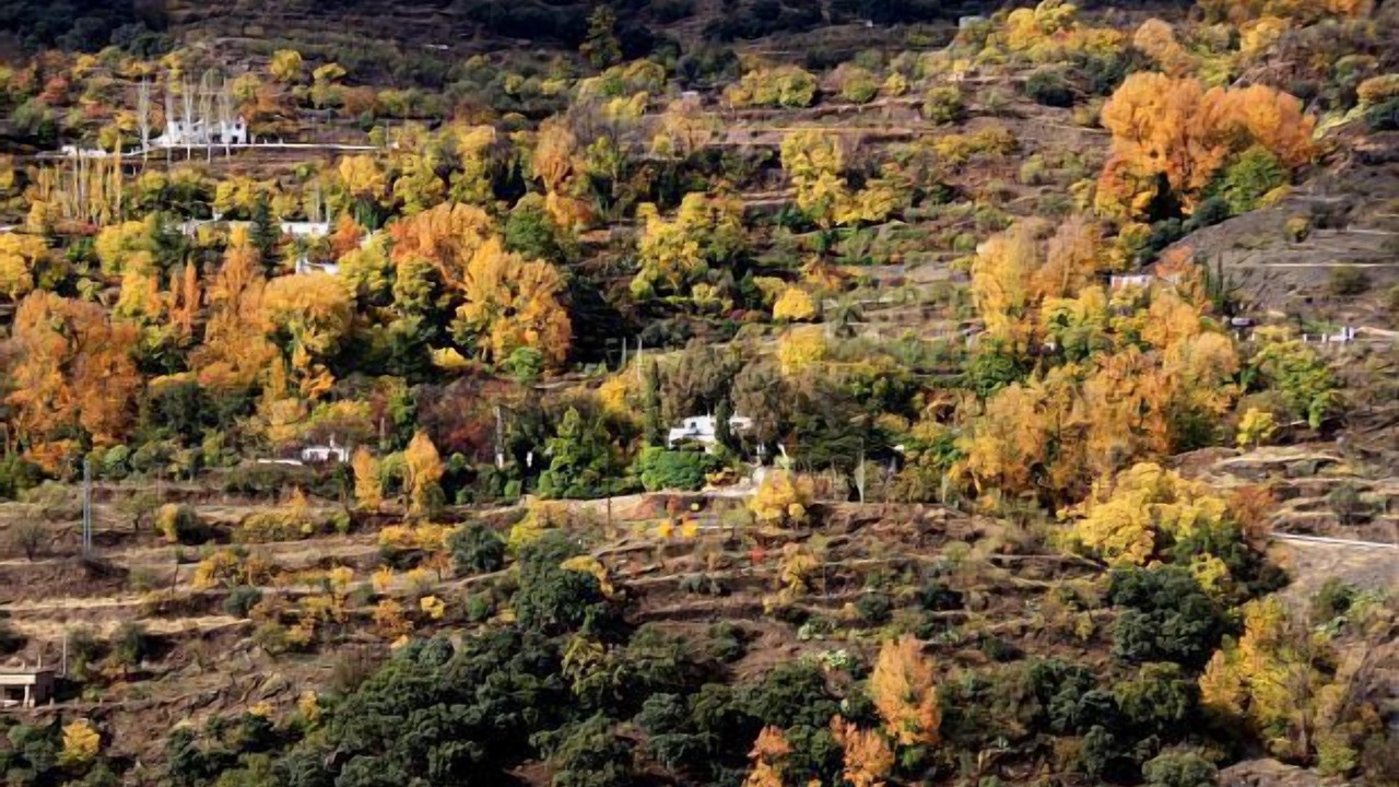 Photo of Outdoor in Laroles