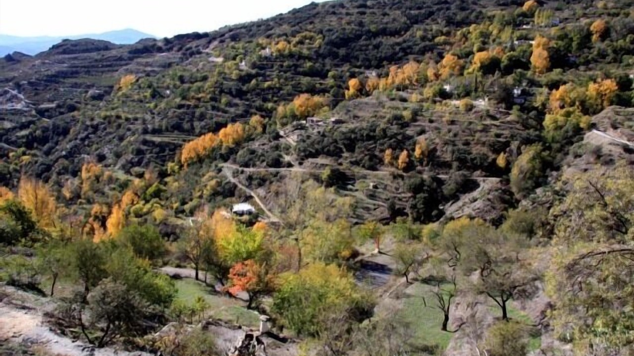 Photo of Outdoor in Laroles