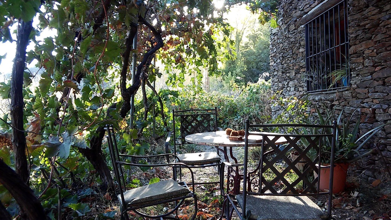 Photo of Outdoor in Laroles