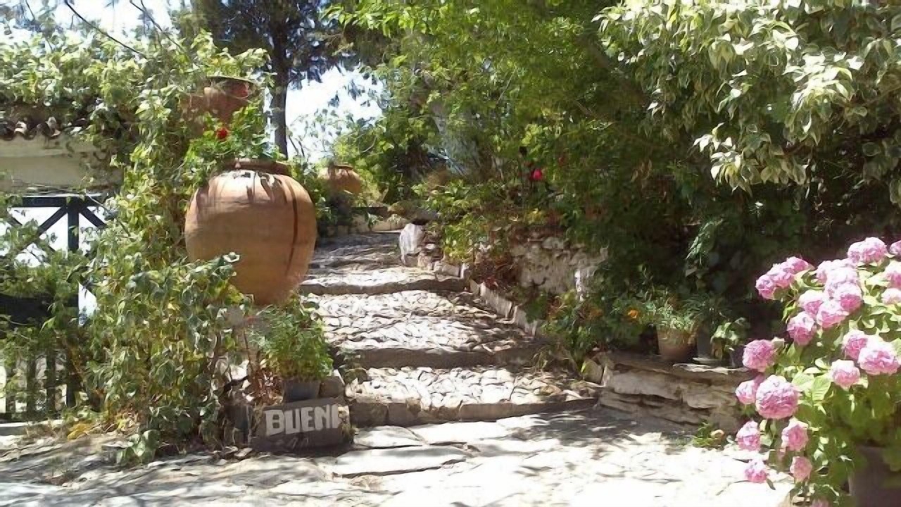 Photo of Outdoor in Laroles