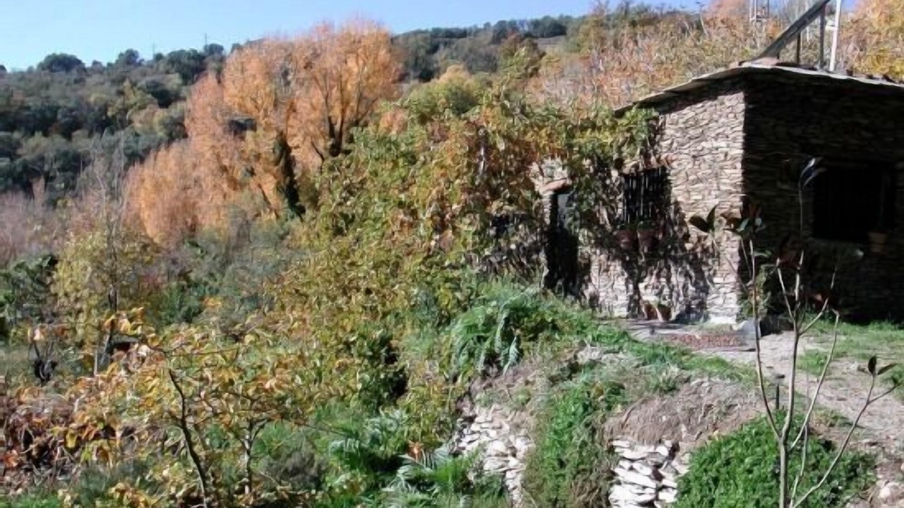 Photo of Outdoor in Laroles
