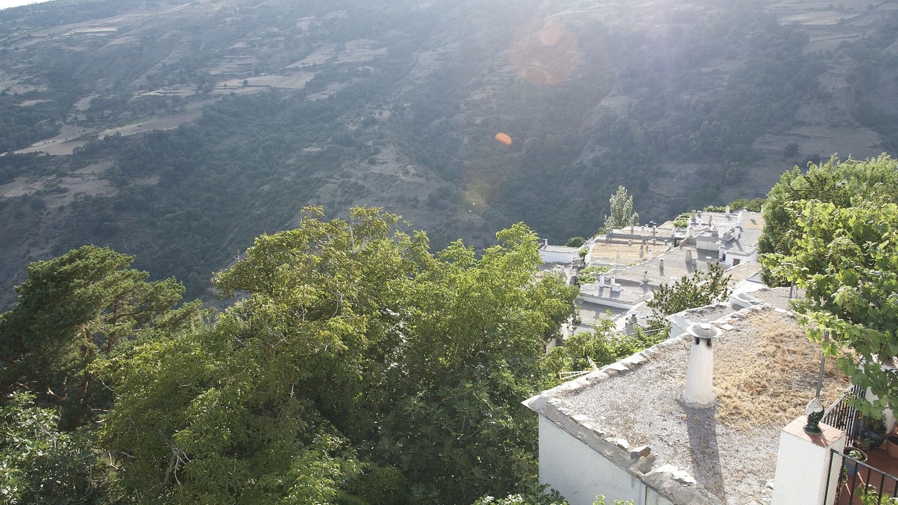 Photo of Others in Capileira
