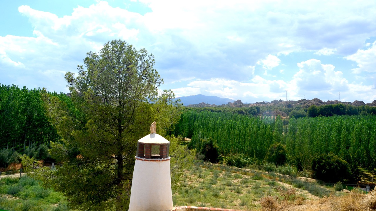 Photo of Others in Guadix