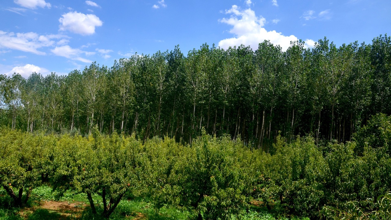 Photo of Outdoor in Guadix