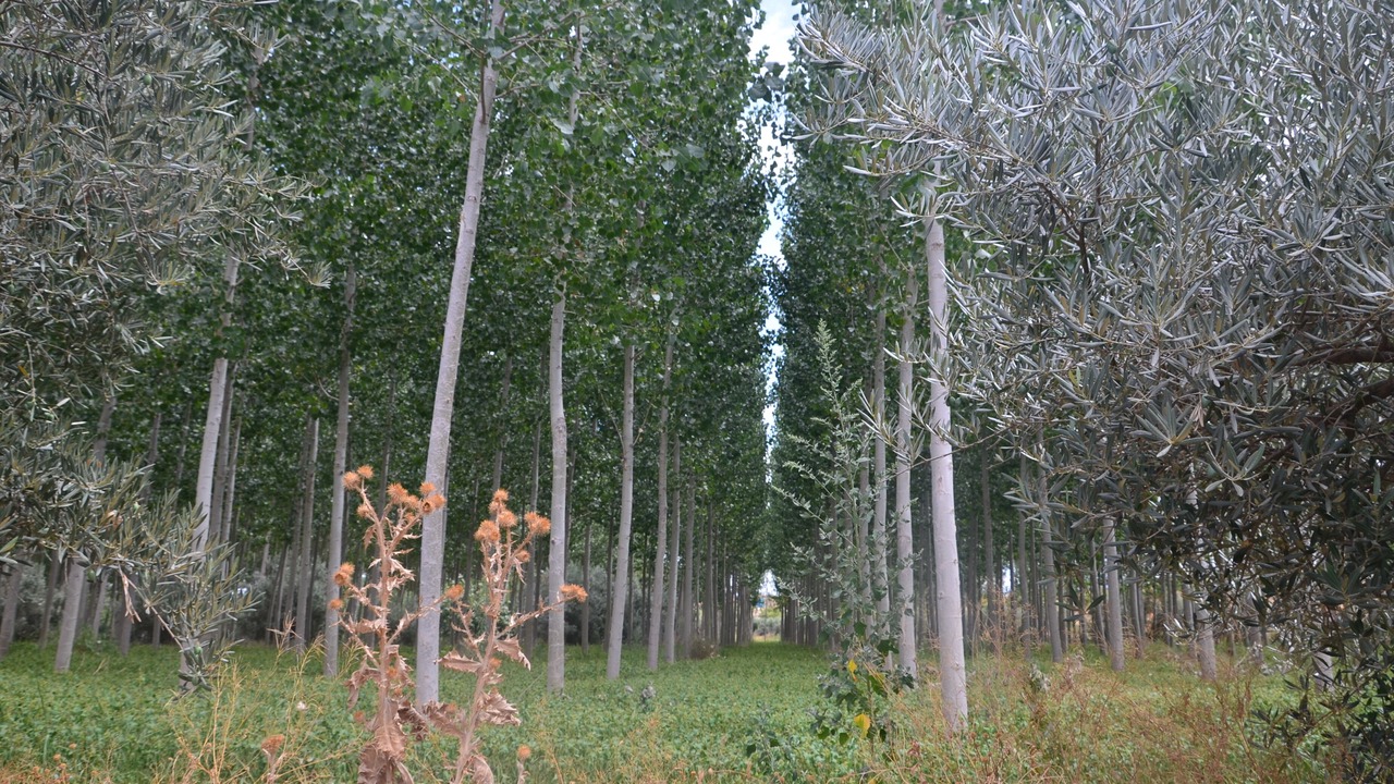 Photo of Outdoor in Guadix