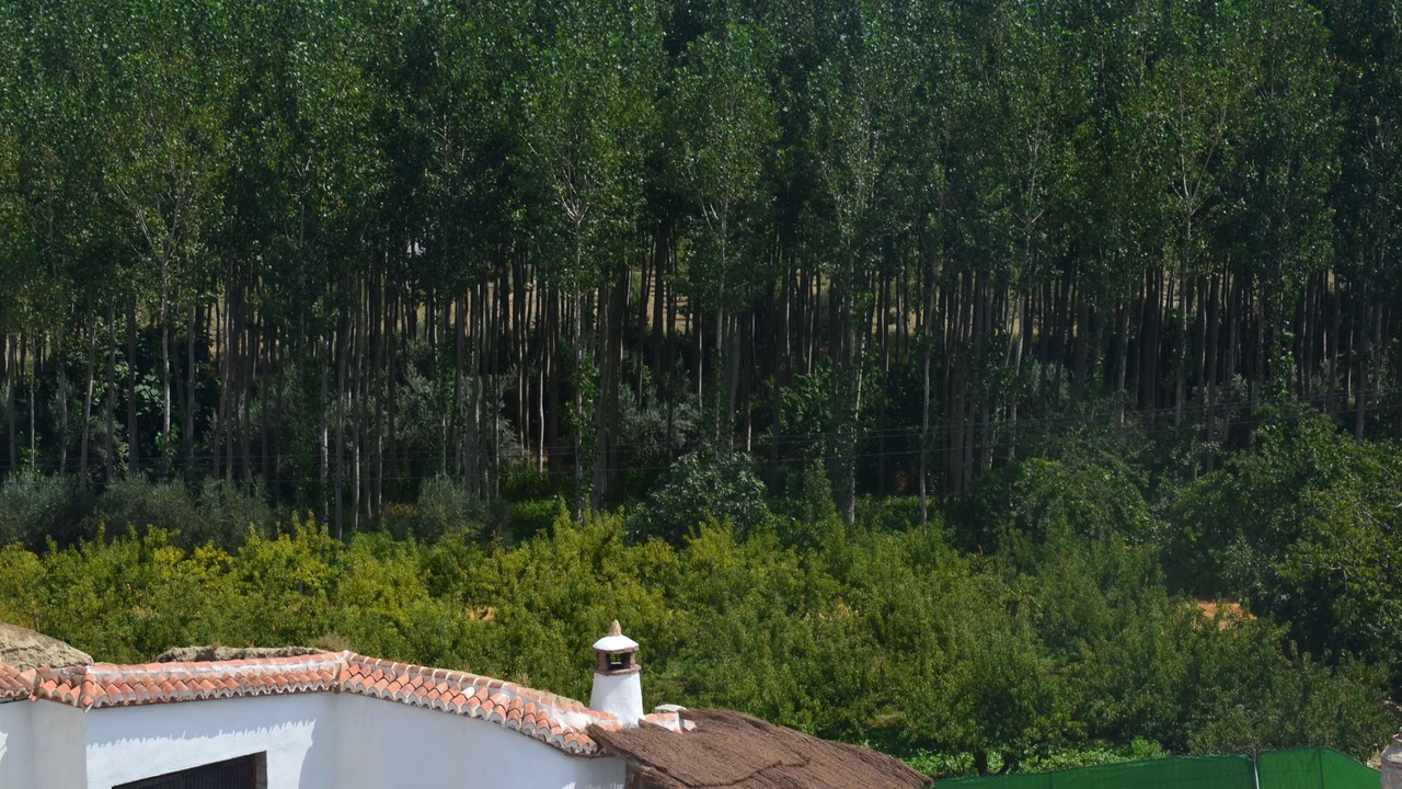 Photo of Outdoor in Guadix