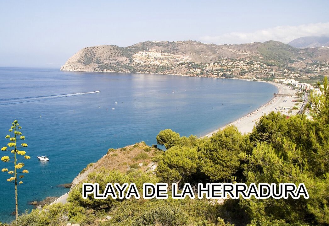 Photo of Others in La Herradura