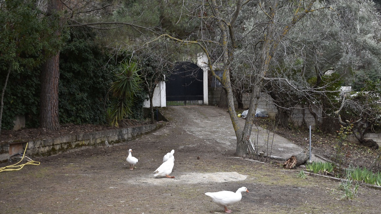 Photo of Outdoor in Cenes de la Vega