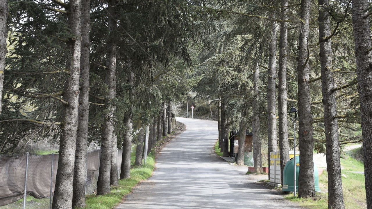 Photo of Outdoor in Cenes de la Vega