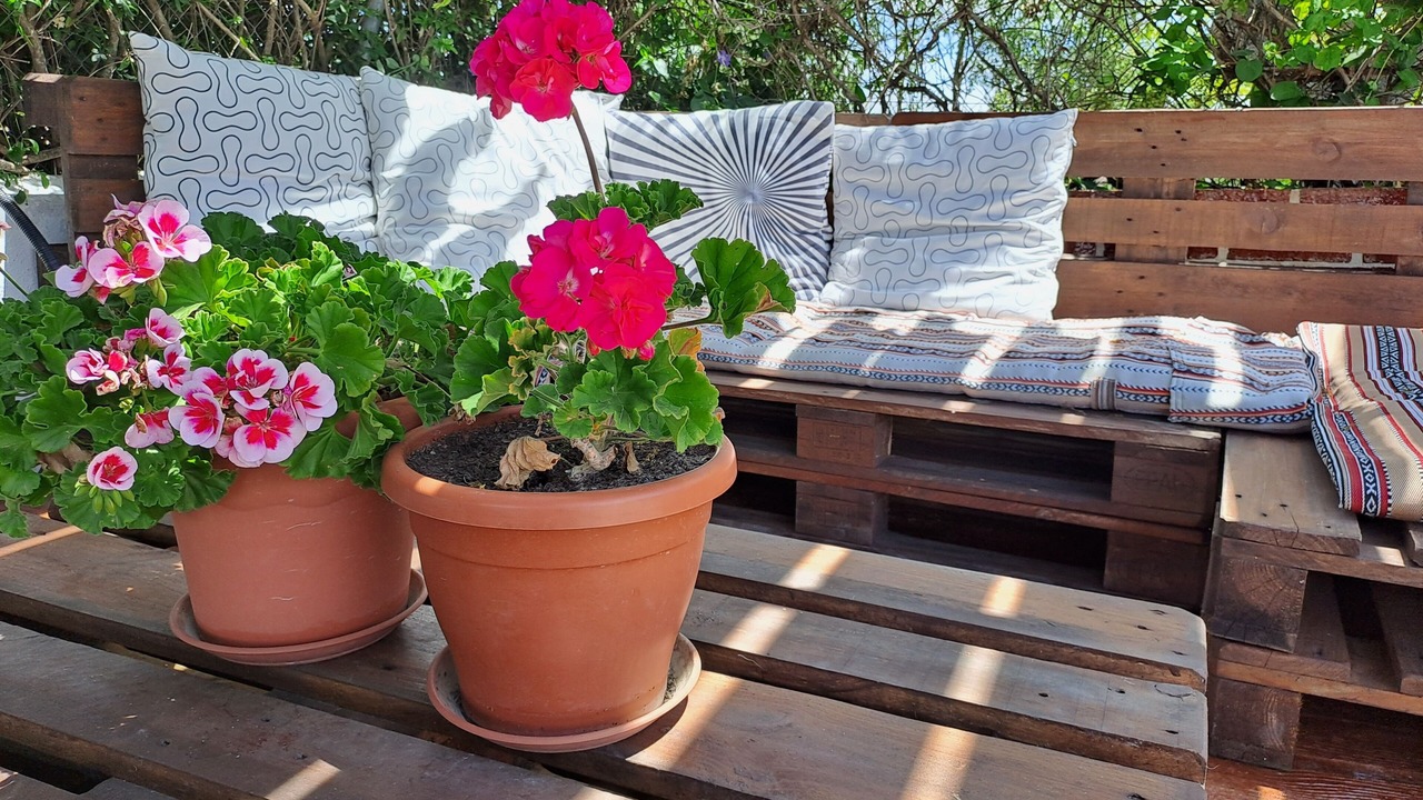 Photo of Patio Balcony in Montefrio