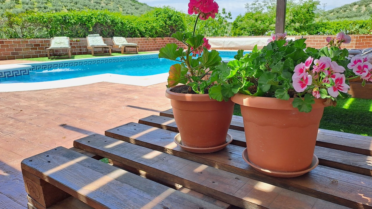 Photo of Outdoor in Montefrio