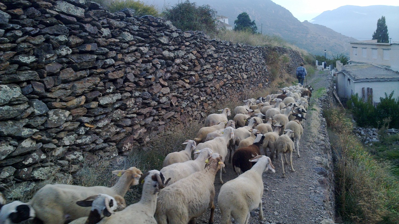 Photo of Outdoor in Bubion