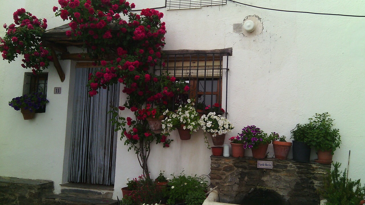Photo of Outdoor in Bubion