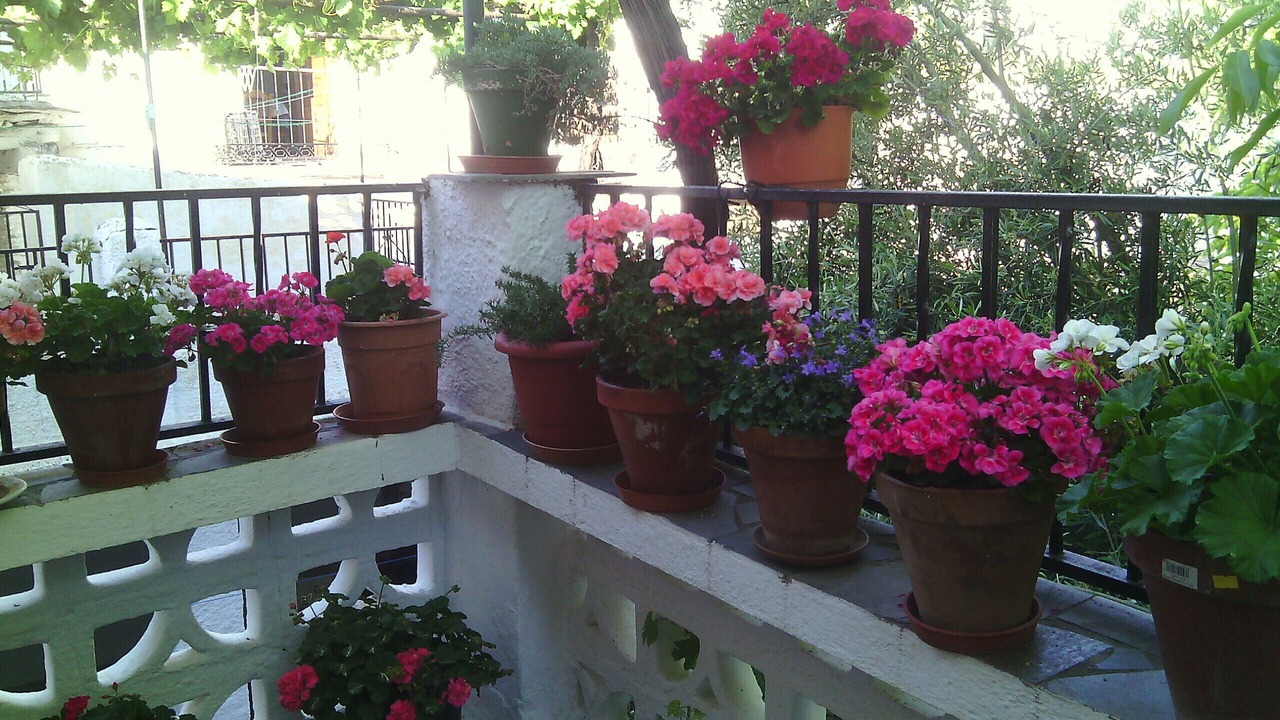 Photo of Outdoor in Bubion
