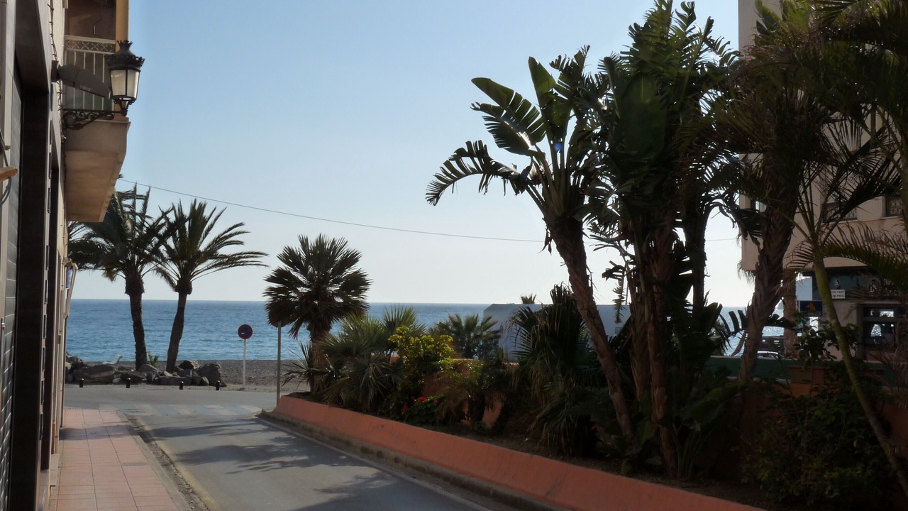Photo of Others in La Herradura