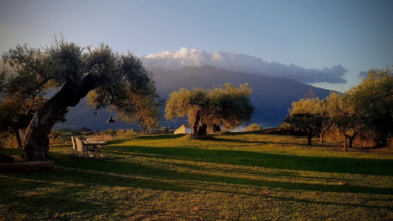 Photo of Outdoor in Orgiva