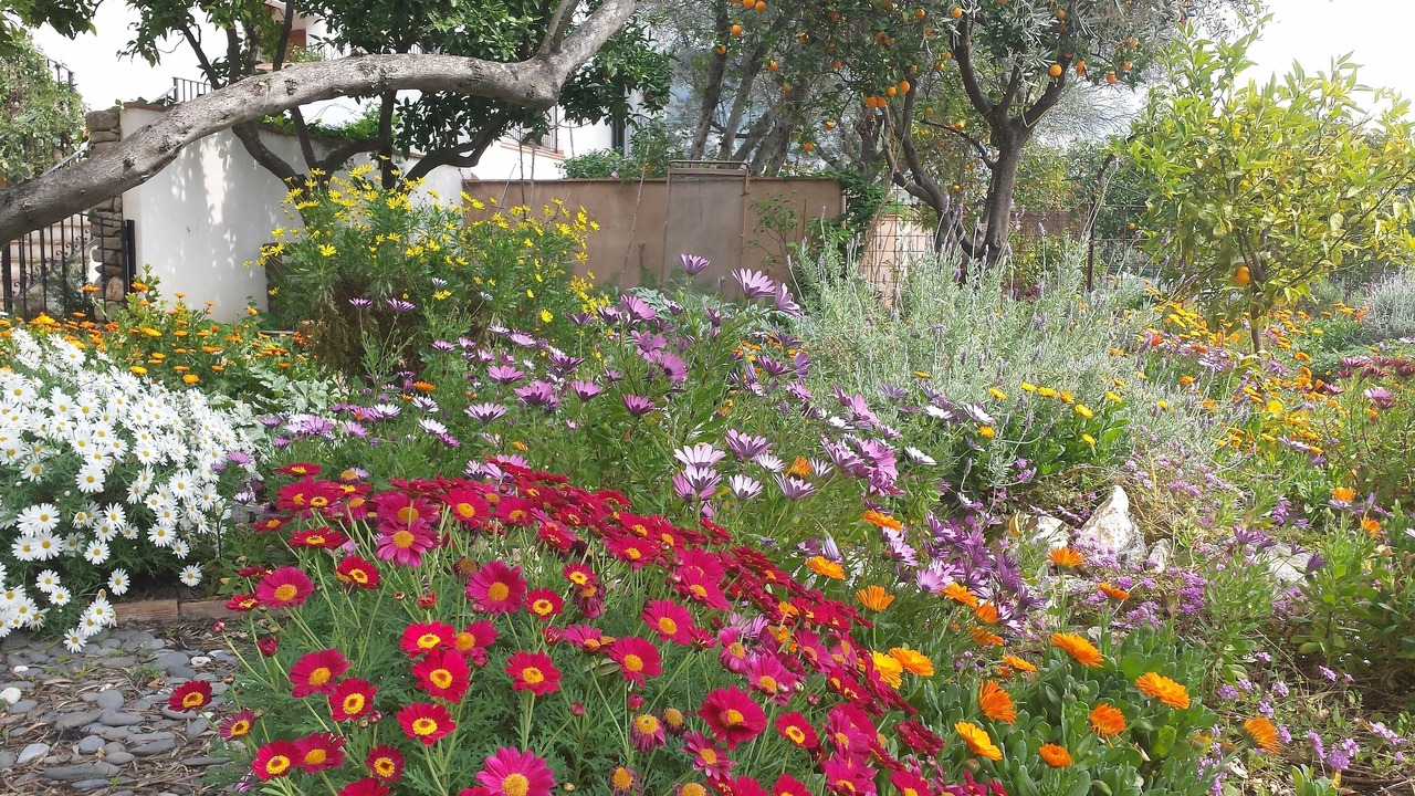 Photo of Outdoor in Chite