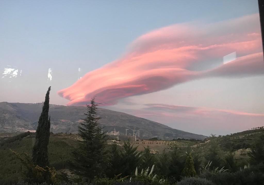 Photo of Outdoor in Pinos del Valle