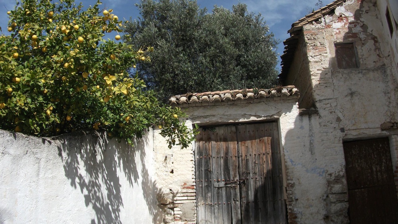Photo of Others in Pinos del Valle