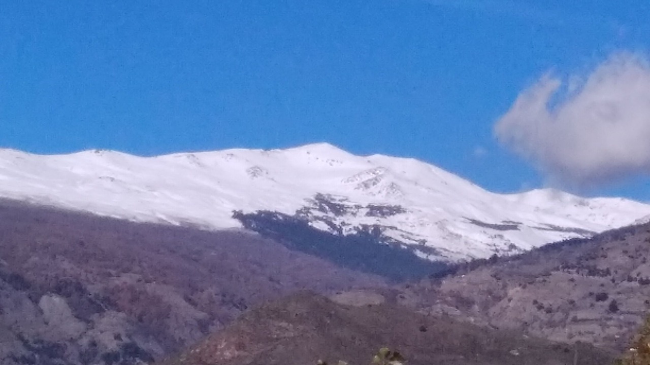 Photo of Others in Orgiva