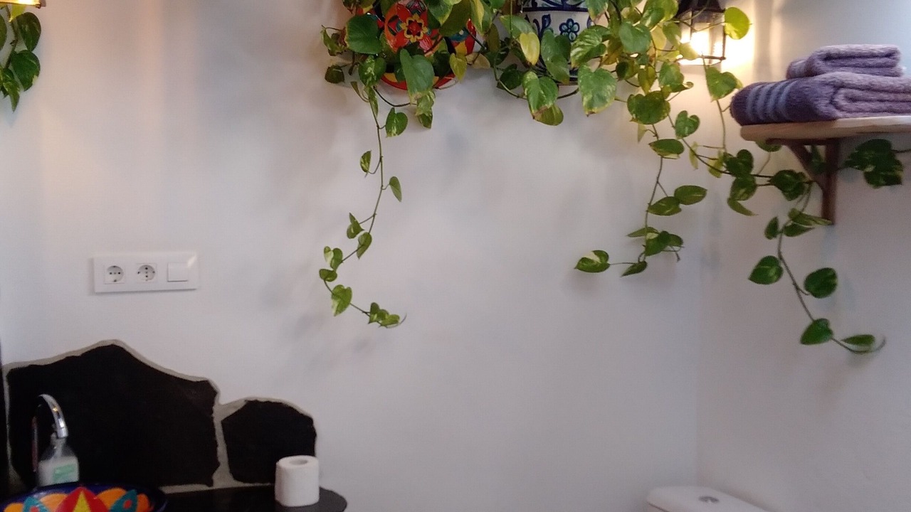 Photo of Bathroom in Orgiva