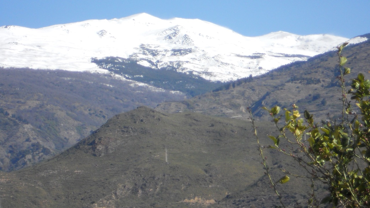 Photo of Others in Orgiva