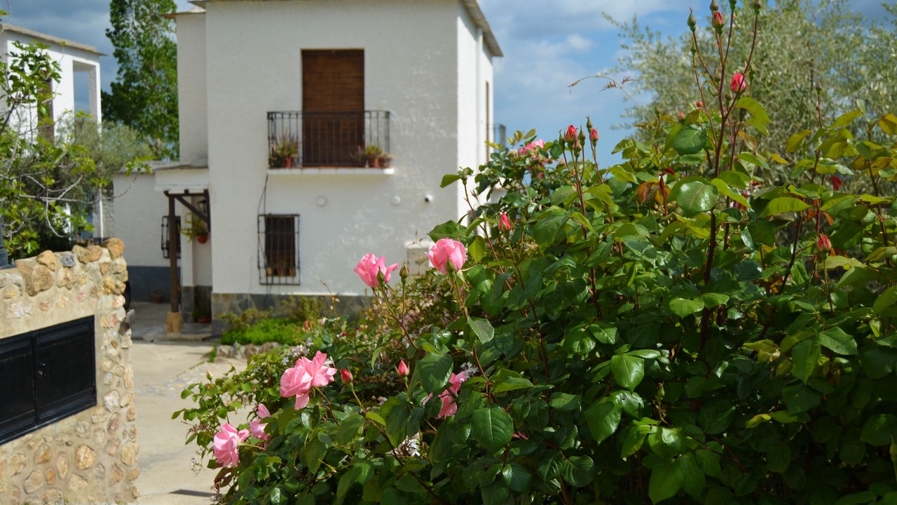Photo of Outdoor in Nechite