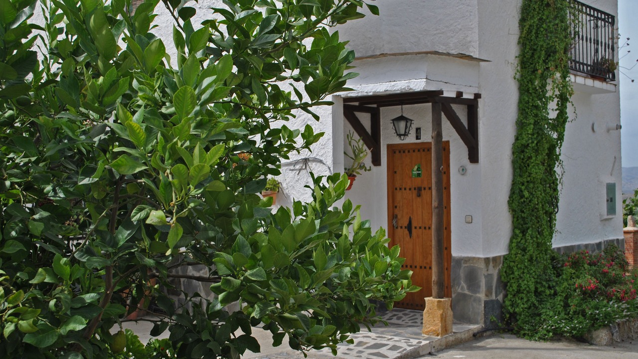 Photo of Outdoor in Nechite