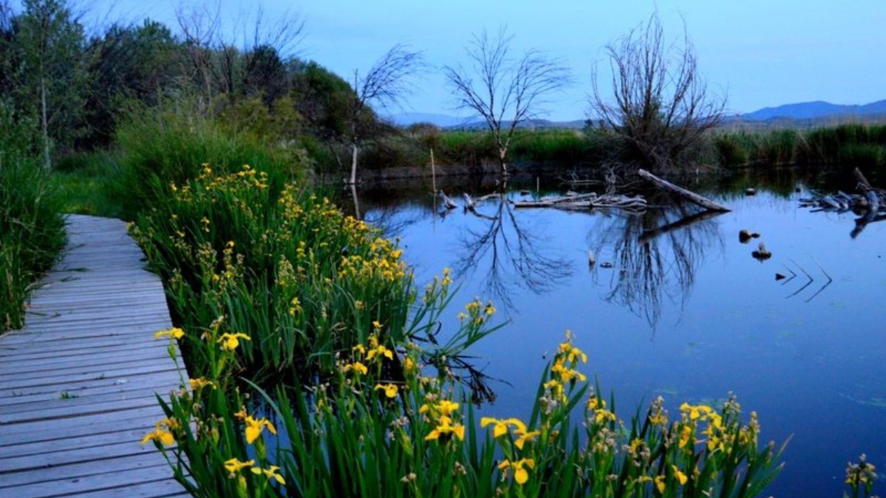Photo of Outdoor in Padul