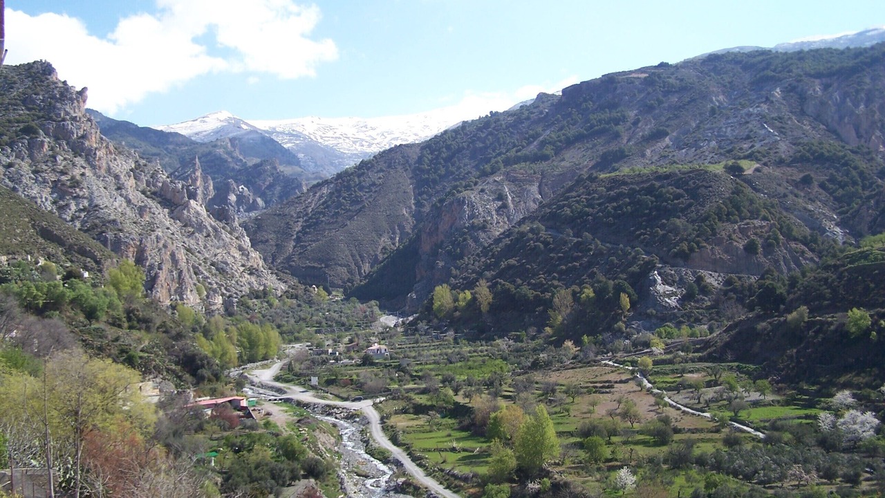Photo of Others in Niguelas