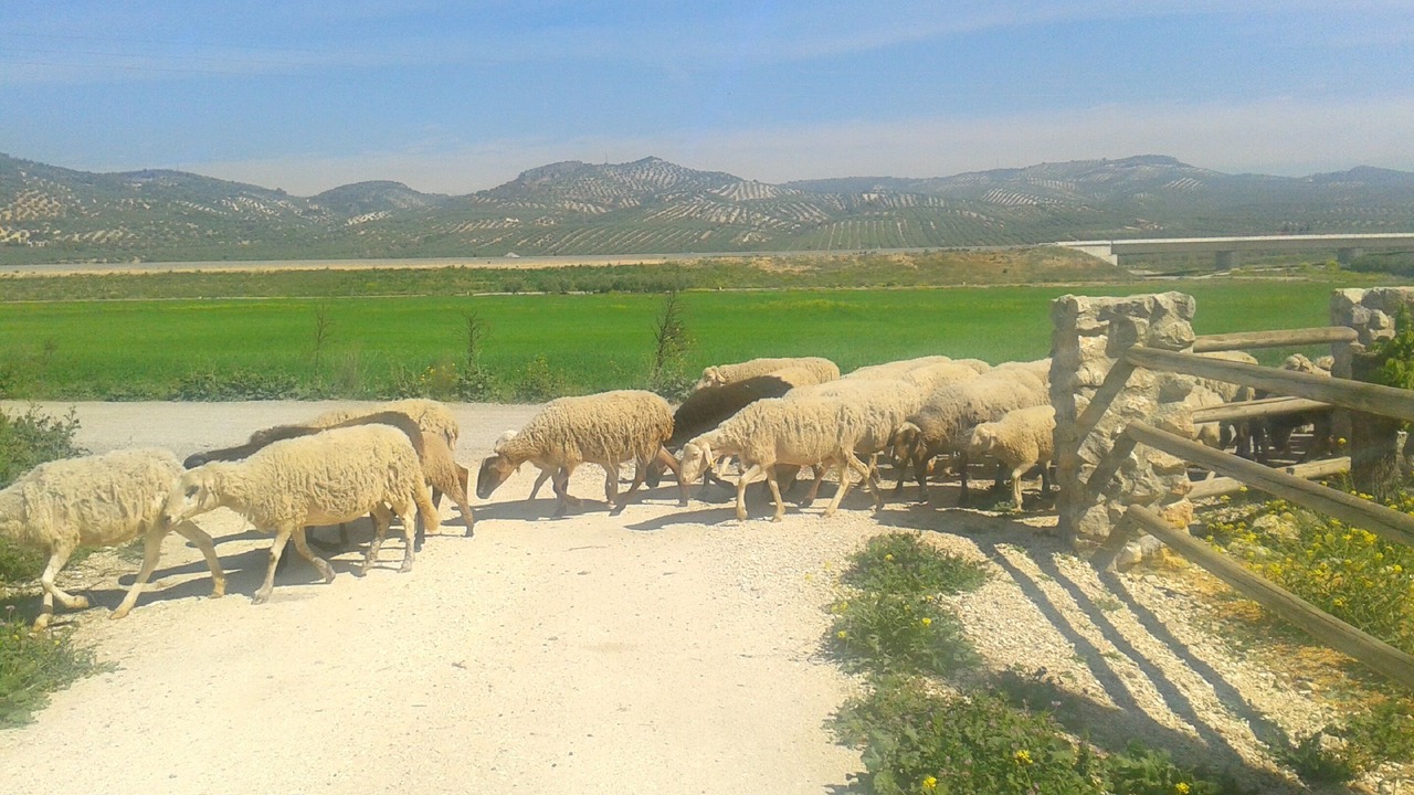Photo of Outdoor in Escoznar