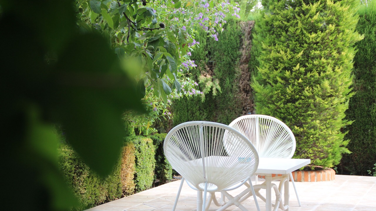 Photo of Patio Balcony in Barrio de la Vega