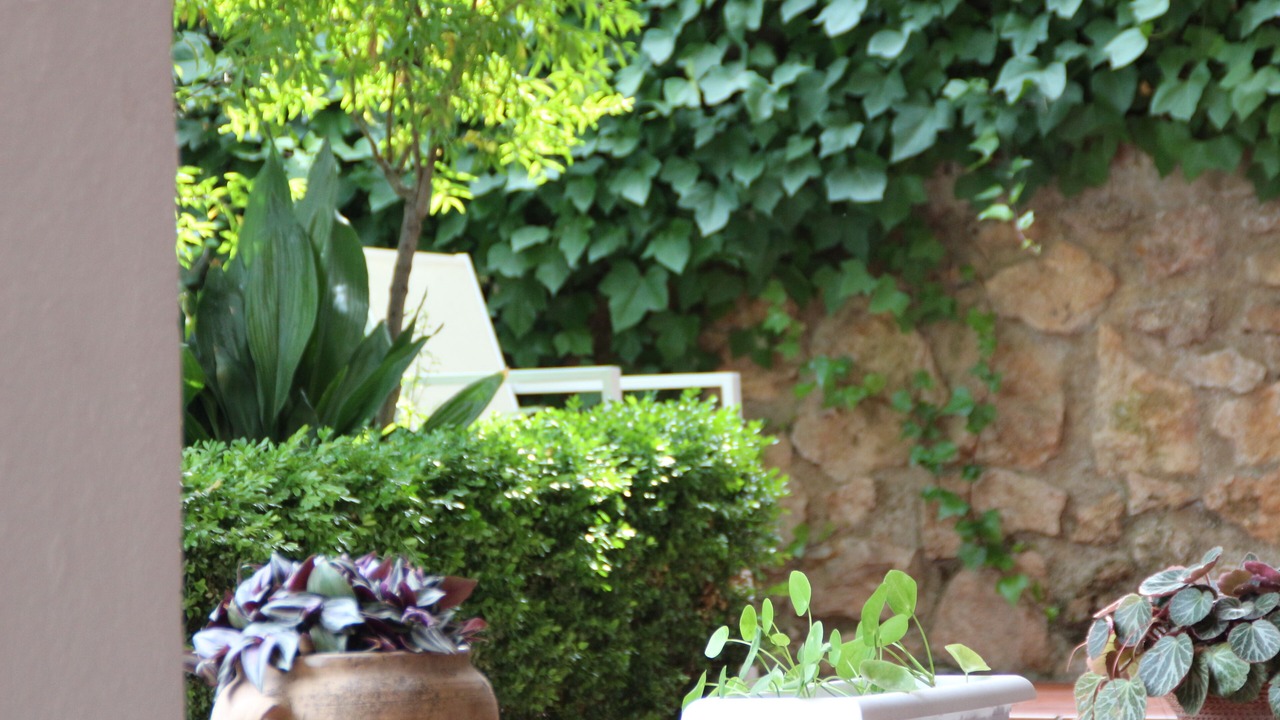 Photo of Outdoor in Barrio de la Vega