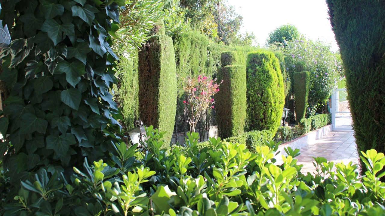 Photo of Outdoor in Barrio de la Vega