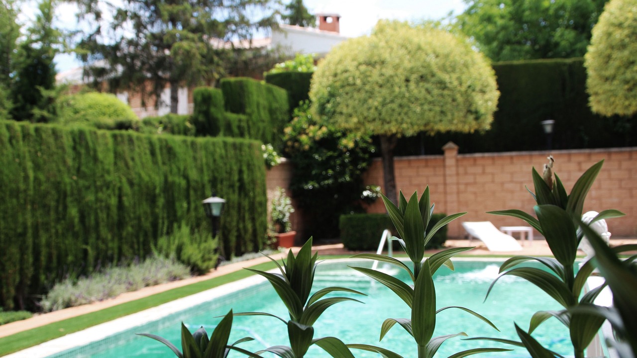 Photo of Outdoor in Barrio de la Vega