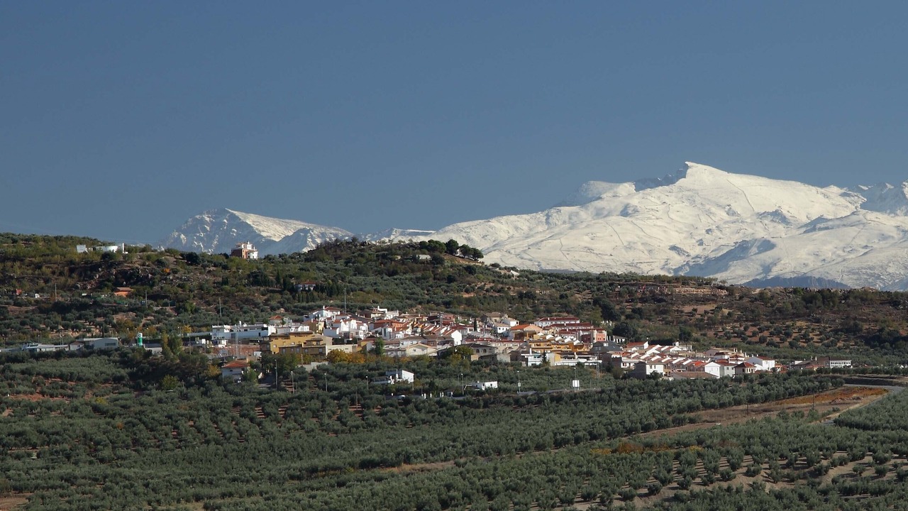 Photo of Outdoor in Guevejar