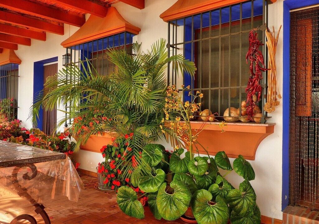 Photo of Outdoor in La Herradura