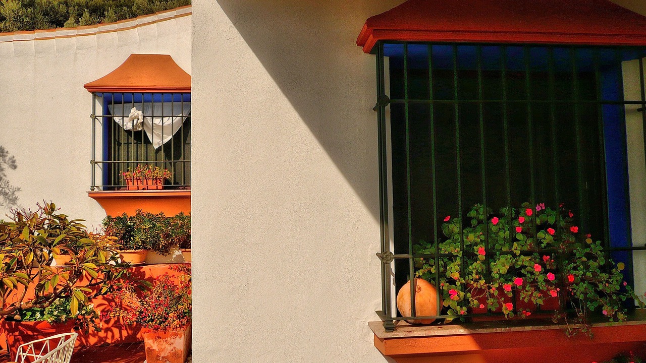 Photo of Outdoor in La Herradura