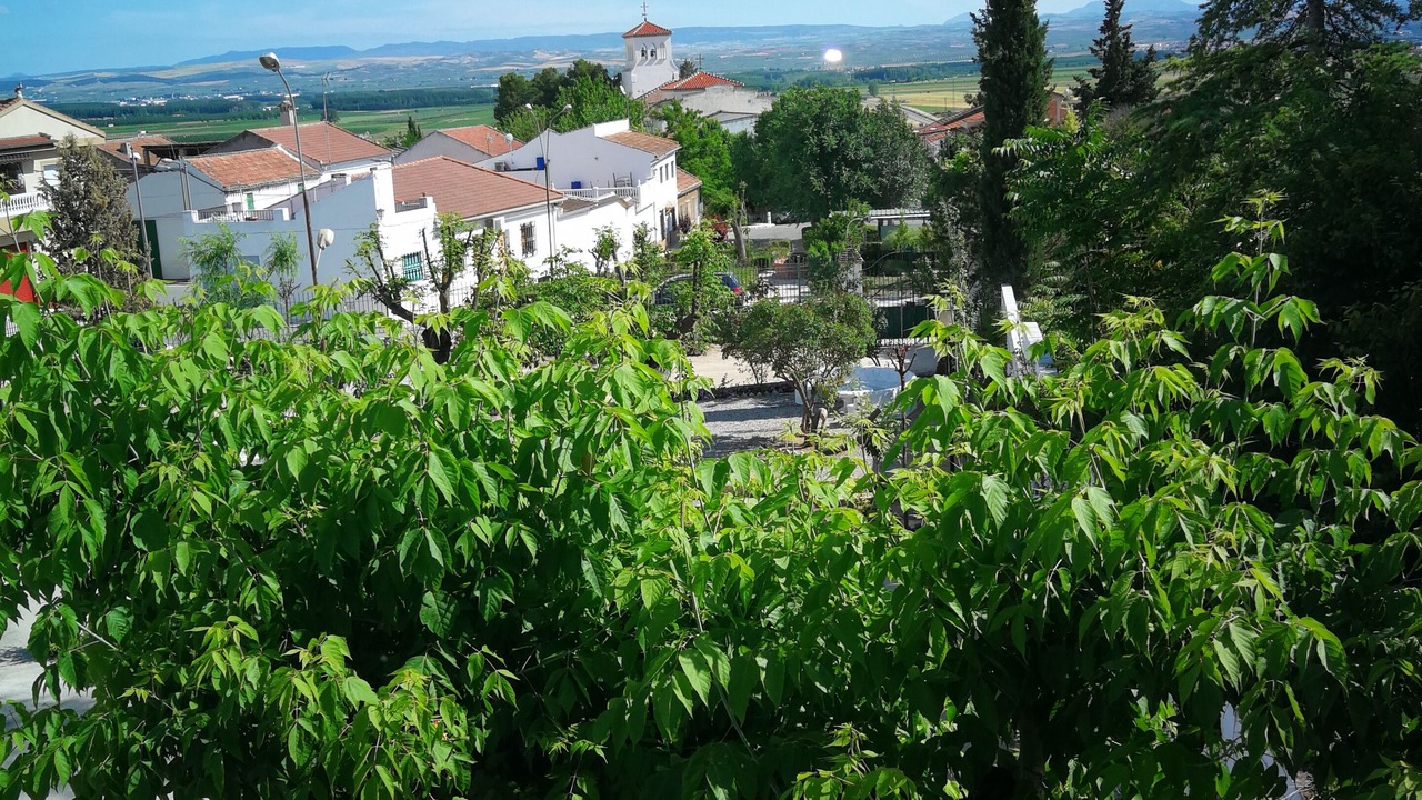 Photo of Outdoor in Zujaira