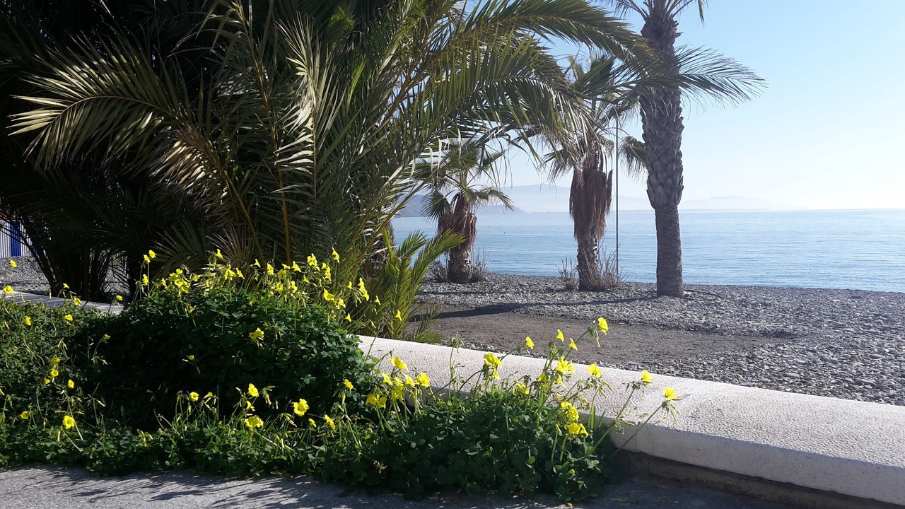 Photo of Outdoor in Velilla-Taramay