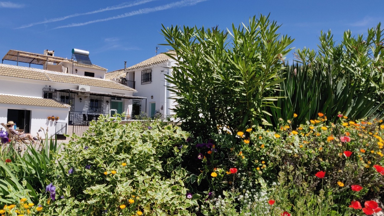 Photo of Outdoor in Moclin